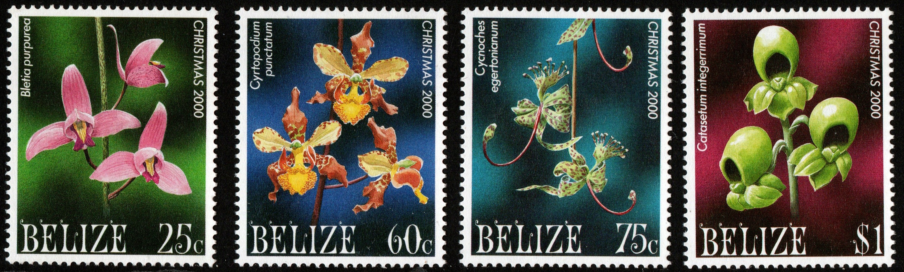Belize SG 1275-8